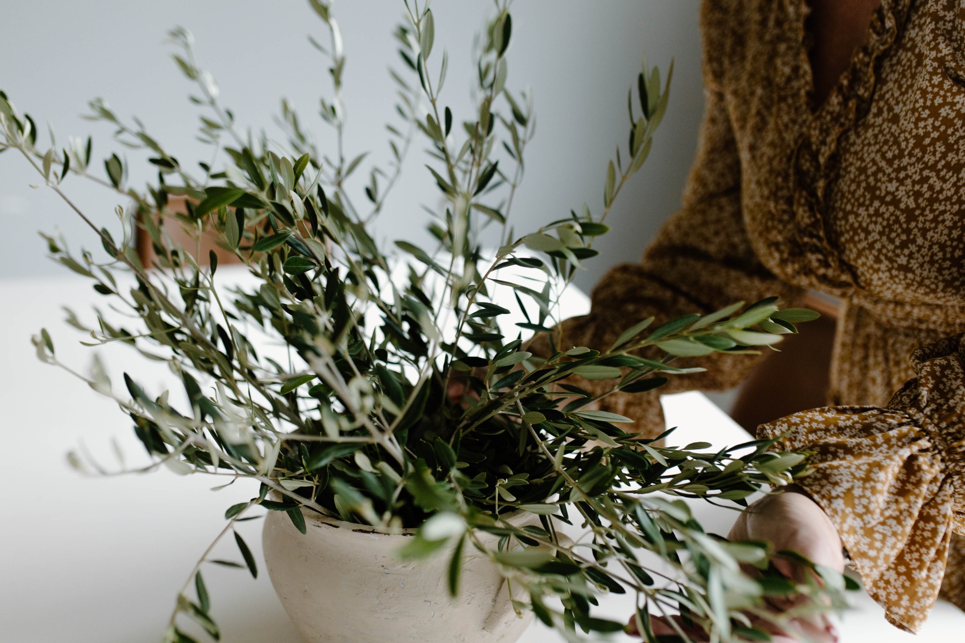 Olive branches in a stone vessel